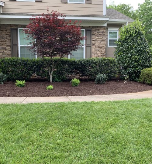 front_mulch2